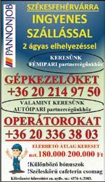 rendezett családi ház, parkosított udvarral, fialgóriával, úszó medencével, fûtött garázzsal, fûtött mûhellyel, vasvázas csarnokkal.