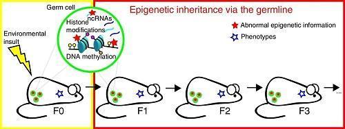 Current Opinion in Chemical Biology, Volume 33,