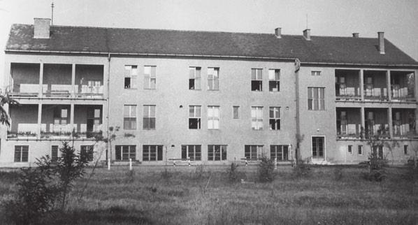 A kerületi szakrendelő a Steinmetz kapitány (ma Ráday Gedeon) utcában lavórokkal, más nem volt. Én még nem láttam ruhátlan férfit. Most meg kellett néznem, míg tartottam a lavórt.