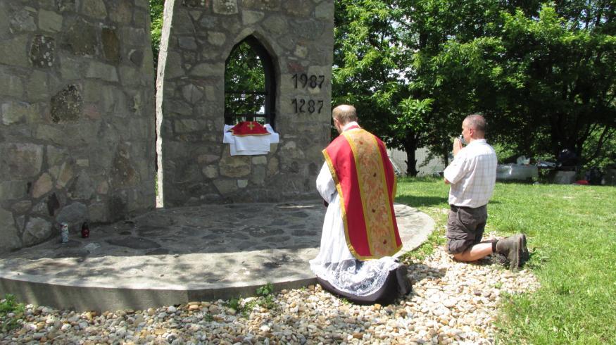 Szokásos feltételek: Szentgyónás (8 nappal előtte vagy utána); szentáldozás; ima a Szentatya szándékára; A teljes búcsúhoz szükséges a tartózkodás a bűnöktől, még a bocsánatos bűnöktől is.