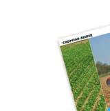sorvetőgép JUMBO -