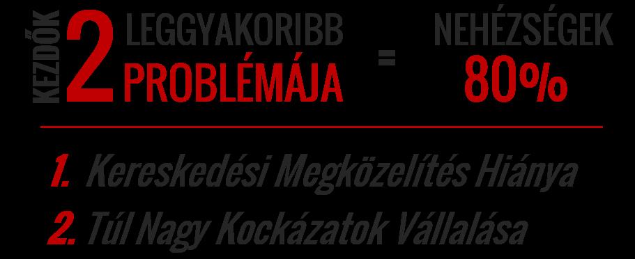 BEVEZETŐ Ennek az E-könyvnek 2 egyszerű célja, hogy megmutassa, miként lehet: 1. elfoglalt embereknek megfelelő kereskedési megközelítést kialakítani 2.