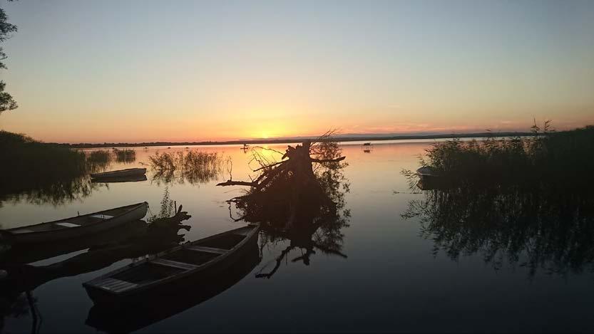 Balatonberény Tornácos Panzió ( Matula tábor Balatonberény fb oldal) Panziónk a Zala torkolatától 1 km-re Kis-Balatontól 3 km-re található a Balaton déli partján, kiváló horgászati lehetőségekkel,