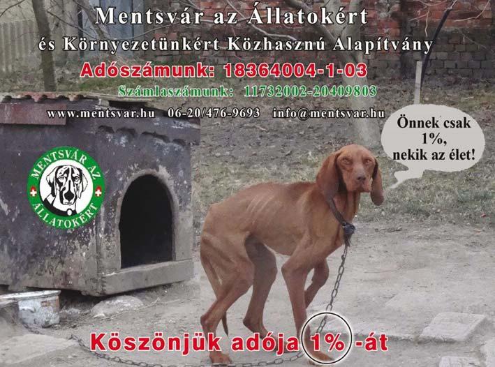www.keszin.