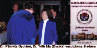 A kék ruhás hölgy ünnepnapjai Dr. Pálovits Gyuláné Dr. Tóth Ida gyógyszerész Milyen a vas, ha búzavirágkékben tündököl? Ez a kedvenc szín varázsolta feltűnővé az aranydiplomáját 2001-ben átvevő Dr.