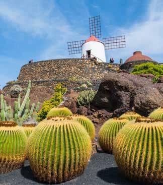 A Hotel The Mirador Papagayo csendes környezetben fekszik a sziget déli részén, Costa Blanca övezetében, távol a város zajától, így igazi tengerparti nyugodt pihenést és kikapcsolódást kínál