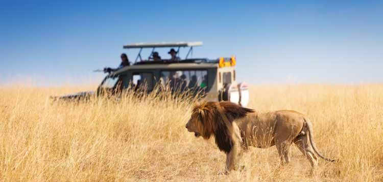 KENYA 8 NAP 7 ÉJ INTENZÍV SZAFARI KENYÁBAN Nairobi Aberdare Nemzeti Park Samburu Rezervátum Nakuru-tó Nemzeti Park Masai Mara Vadrezervátum Nairobi Ft/fő kétágyas szobában Samburu rezervátum Nakuru