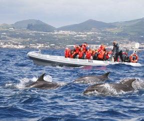 nap: Budapest - Lisszabon - Ponta Delgada Repülés lisszaboni átszállással Sao Miguel szigetére. Gyalogos városnézés PONTA DELGADA-ban.