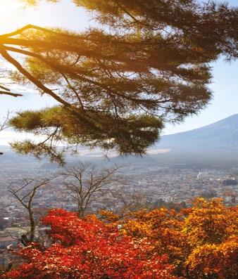 A japán építészet remekét, Tokugawa leyasu sógun emlékhelyét 22.000 m2 aranyozott felület, és míves fafaragások borítják. Szállás Tokióban. 4. nap: Tokió Egész napos városnézés a titokzatos TOKIÓ-ban.