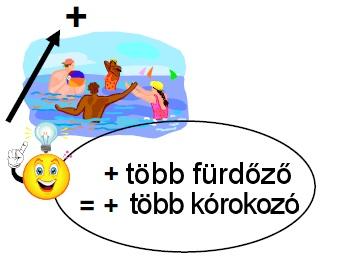 Ellenőrizze rendszeresen (hetente) a szabad klór mennyiségét, és módosítsa a klórtermelés százalékát, ha szükséges.