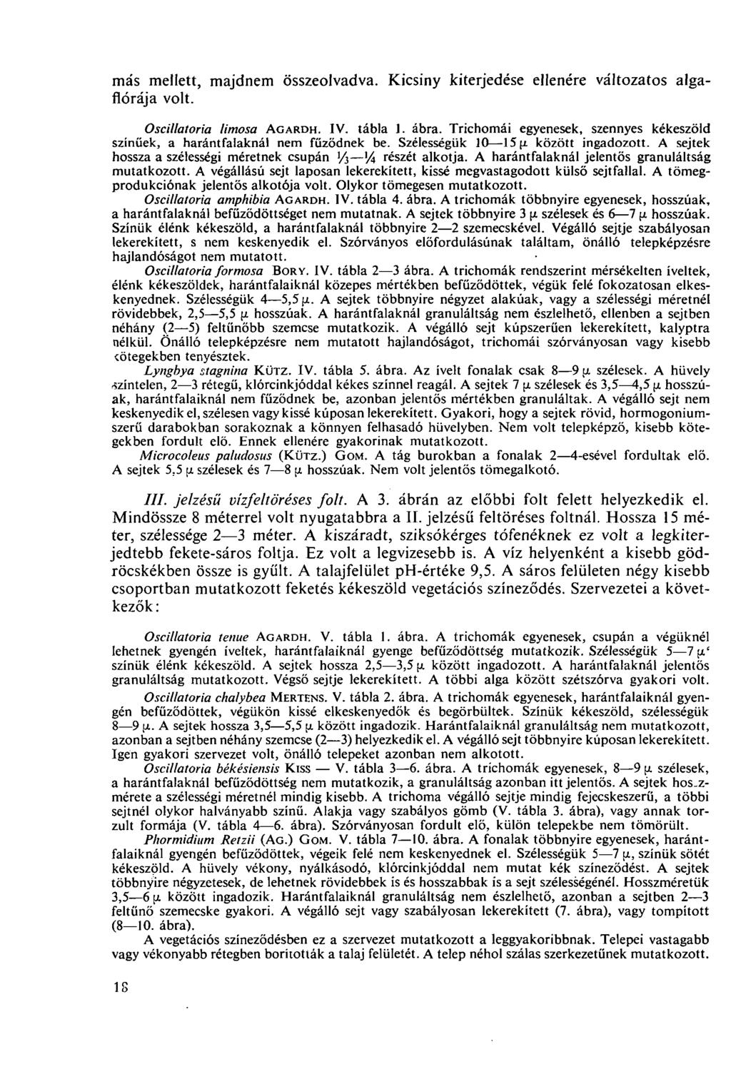 más mellett, majdnem összeolvadva. Kicsiny kiterjedése ellenére változatos algaflórája volt. Oscillatoria limosa AGARDH. IV. tábla 1. ábra.