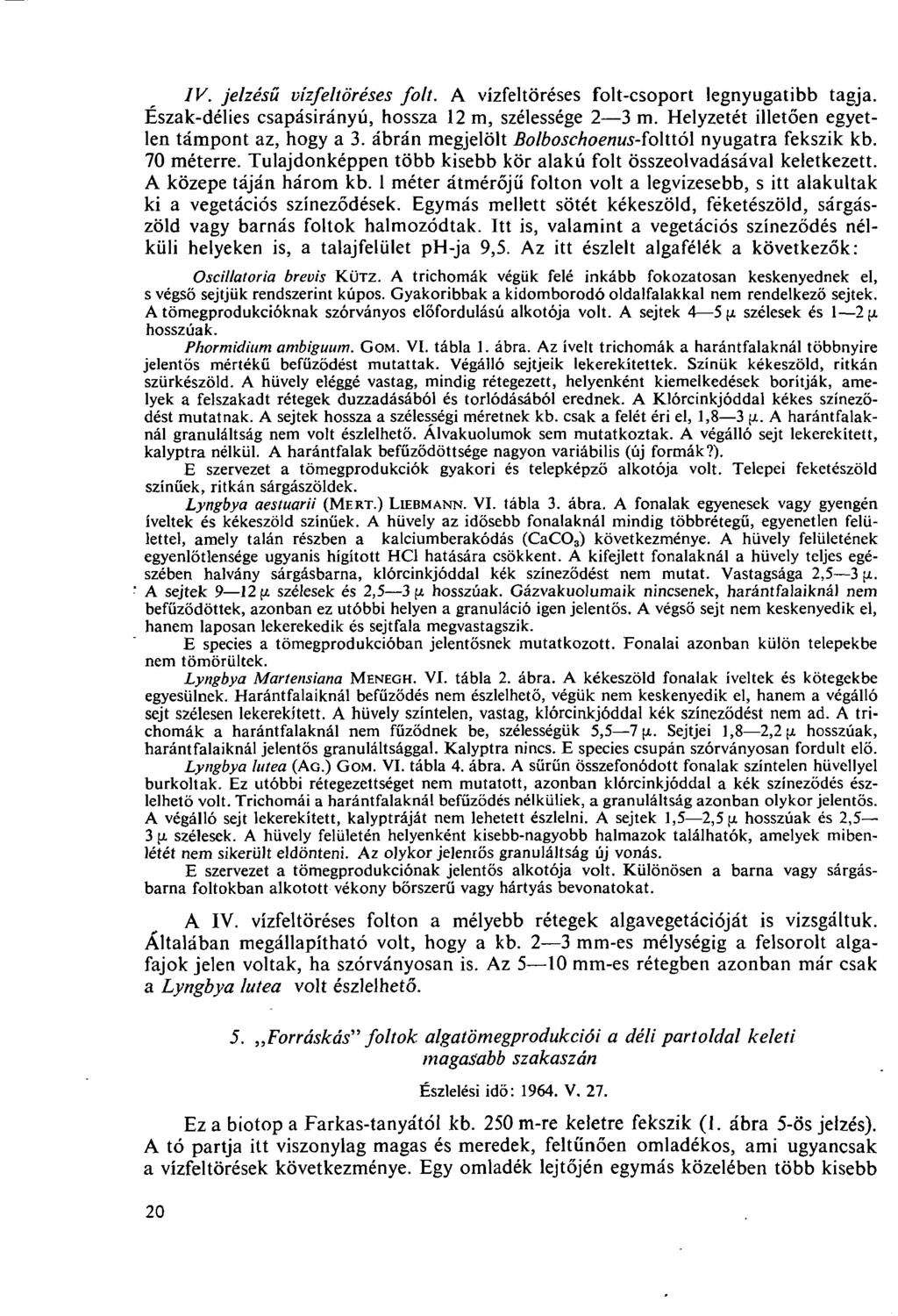 IV. jelzésű vízfeltöréses folt. A vízfeltöréses folt-csoport legnyugatibb tagja. Észak-délies csapásirányú, hossza 12 m, szélessége 2 3 m. Helyzetét illetően egyetlen támpont az, hogy a 3.