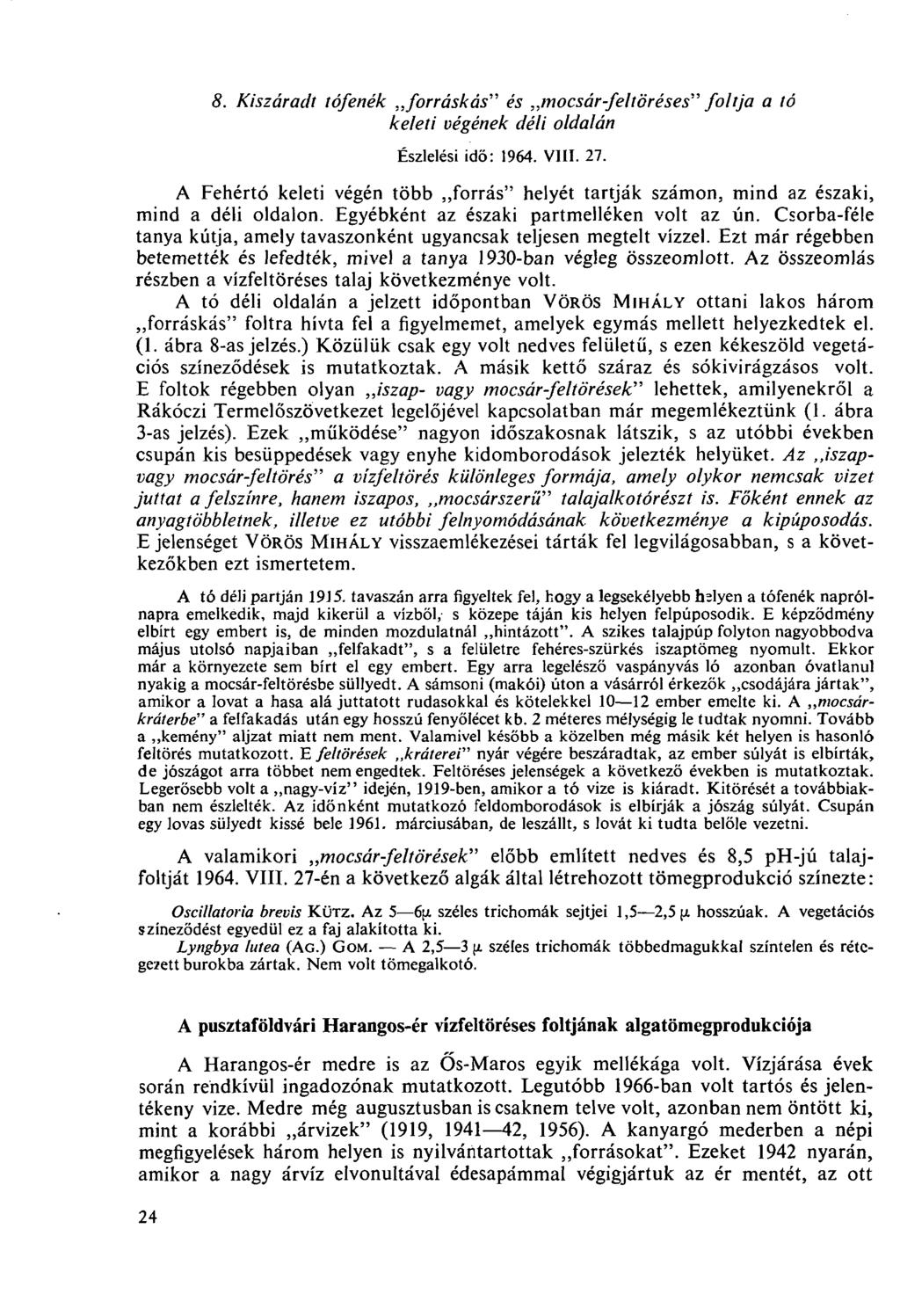 8. Kiszáradt tófenék forráskás" és mocsár-feltöréses" foltja a tó keleti végének déli oldalán Észlelési idő: 1964. VIII. 27.