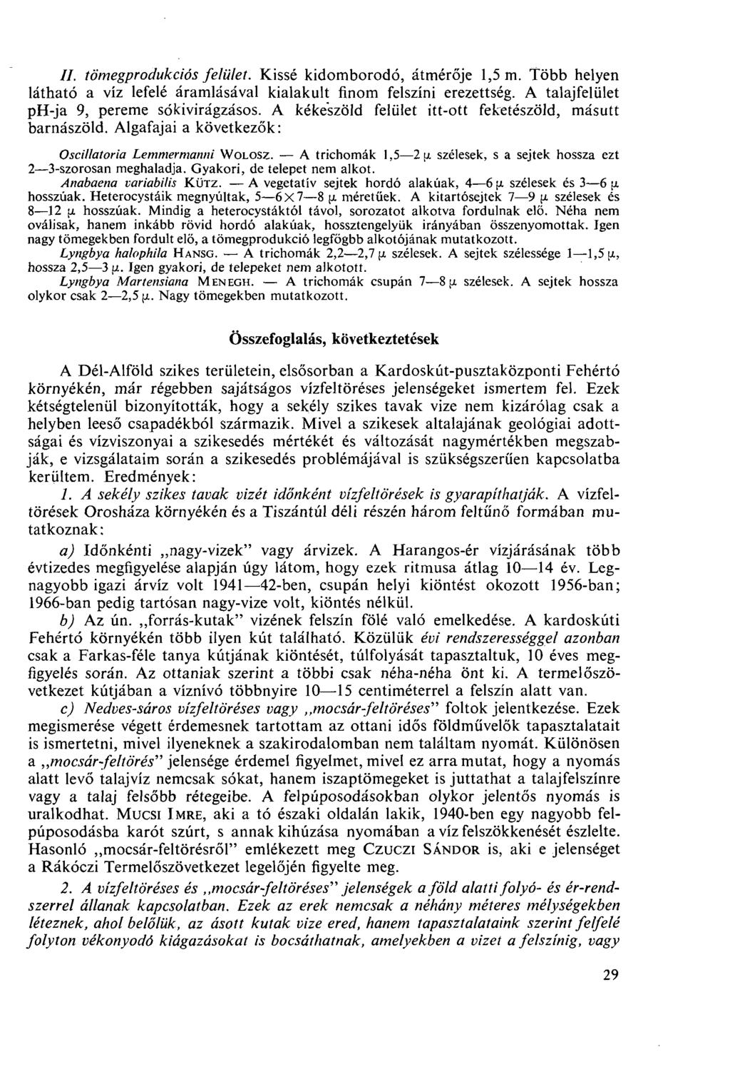II. tömegprodukciós felület. Kissé kidomborodó, átmérője 1,5 m. Több helyen látható a víz lefelé áramlásával kialakult finom felszíni erezettség. A talajfelület ph-ja 9, pereme sókivirágzásos.