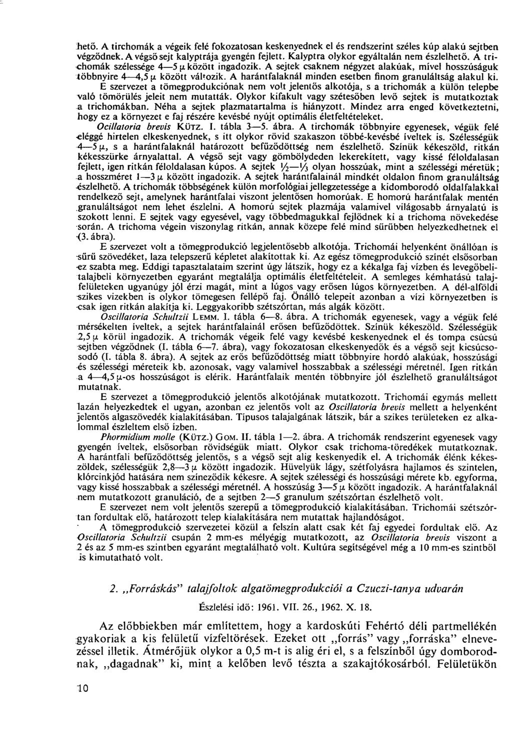 Ihető. A tirchomák a végeik felé fokozatosan keskenyednek el és rendszerint széles kúp alakú sejtben végződnek. A végső sejt kalyptrája gyengén fejlett. Kalyptra olykor egyáltalán nem észlelhető.