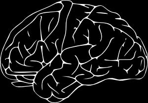 A stresszt elôidézô tényezôk rendkívül különbözôk lehetnek (érzelmi veszteségek, katasztrófák, hosszan tartó megterhelések, élethelyzet-változások, egyéb erôs kémiai, fizikai ingerek), mégis közel