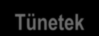 Tünetek