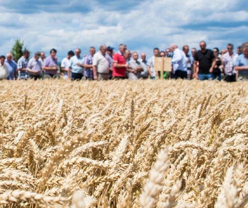 II. NAK SZÁNTÓFÖLDI NAPOK MEZŐHEGYES 2018. szeptember 20-21.