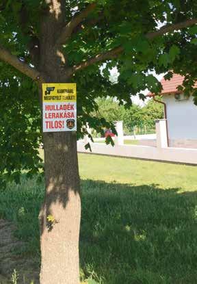 Az évről évre gyarapodó lakosságnak próbáljuk kialakítani azokat a körülményeket, melyek más kertes övezetekben jelen vannak, hiszen az infrastruktúra a Halasi út mellett korábban nem volt