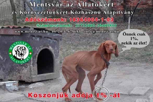 Az idősebbeket is munkában tartva, tapasztalataikra támaszkodva sikerült egy olyan csapatot összekovácsolni, akikkel olyan intézményt működtettünk, amelyet megyeszerte kiváló gyógyítóhelyként
