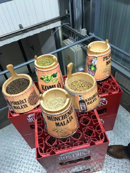 minket. Eldugott hegyi ösvények nyomán természetes gejzírforrásokhoz juthattunk el, amelyek a szivárvány minden színében pompáztak.