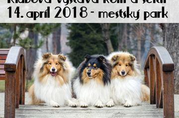 com PL2018/17 CVČ JUNIOR BANSKÁ BYSTRICA SÚKROMNÉ GYMNÁZIUM LUČENEC Vás pozývajú na 40.