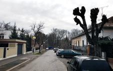 Podľa slov konateľa spoločnosti Merkury Market Slovakia s. r. o.