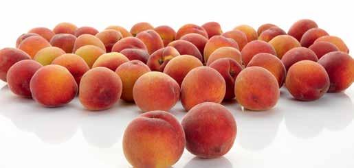 NATURFOOD ASZALT SZILVA