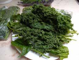 VEGYSZERMENTES ÉLELMISZEREK VEGYSZERMENTES, BIO ZÖLD LEVELEK VITALITÁS ZÖLD CSOMAG Tápanyagdús, vegyszermentes, különleges zöldlevelek.