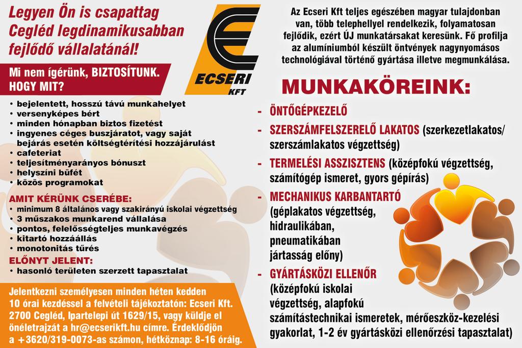 www. dpmsz. hu 9 ASZTALOS szakmunkást vagy más faipari végzettségű munkatársakat keresünk Ceglédre a Buda-Házépítő Kft. telephelyére.