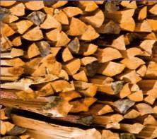 Veszprémi út 7. Tel.: 06-88/791-543 www.varpalotainfo.hu 29.