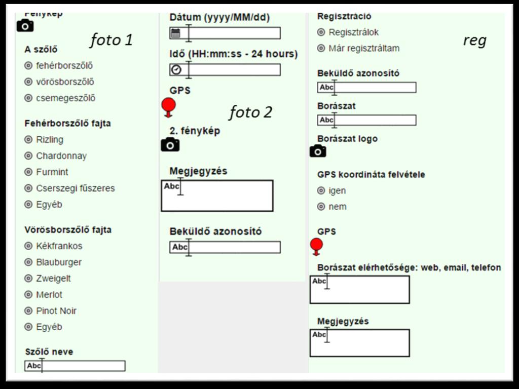 5.3.4.1. A SZELFI projekt felépítése Az adatfelvételhez az EpiCollect alkalmazáscsomag weboldalán online módon egy projekt készült, amely a szelfi nevet kapta.