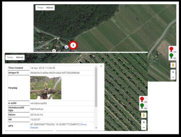 21. ábra: Adatbázis térkép nézet A térkép nézetben a GPS