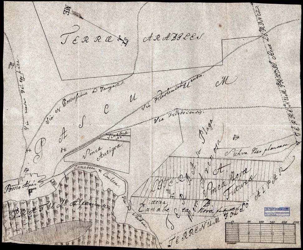 13 3. VPGL 2/a. 1. sa. [1810] 2. 3. Alpár (Pest m.) határának térképe településfolttal. 4. Pedel; cb; mpa; 44 x 37 cm; o: N. M: 100 org.