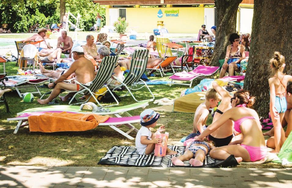 Magas szénsavtartalma révén kedvezően hat a vérkeringési zavarokra is.