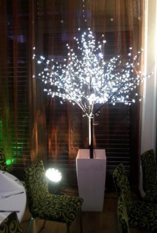 tree lighting in pot 6