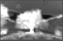The rationale behind this filtering is that for the granularity represented by the 8-bit greyscale spectrum does not provide enough precision to differentiate meaningfully between regions that are