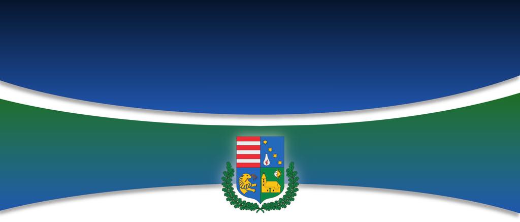 ÖNKORMÁNYZATI HÍRADÓ BERHIDA XXV. évfolyam 6.
