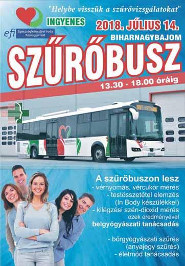 Sokáig harcban voltunk akár az els hely megszerzéséért is, de egy sajnálatos idegenbeli döntetlen és két hazai vereség- amib l az egyiket a bajnokságot megnyer csapat mérte ránk (0-1)- elvette a