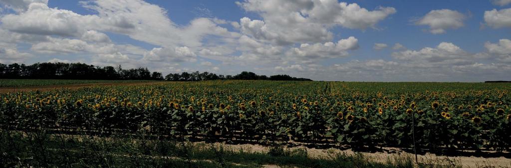 Mezőgazdasági területek A mezőgazdaság és a fatermelés Jákó húzóágazata. A mezőgazdaságban nagy szerepet tölt be a GAZDA Mezőgazdasági, Beszerző Értékesítő és Szolgáltató Szövetkezet.