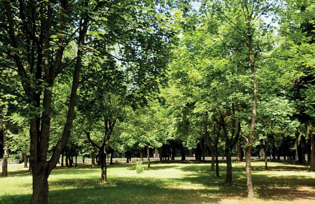 Erdős