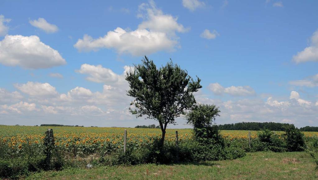 A kézikönyvben megjelent példák nem kötelezőek, céljuk nem az építészeti szabadság megkurtítása, hanem éppen az esztétikai és építészeti értékek