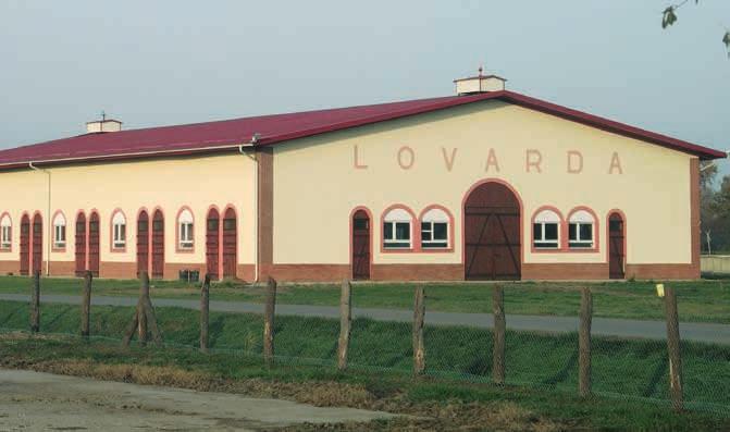 Lovardák