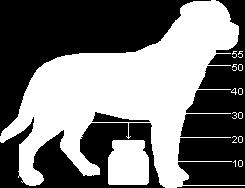 Marmagasság szukáknál 56-63 cm 56-57 cm kistermetű 58-59 cm közepes termetű 60-61 cm nagy, kívánt magasság 62-63 cm nagyon nagy A szukák súlya körülbelül 42 kg Formai hibák Összkép: Könnyed, levegős,