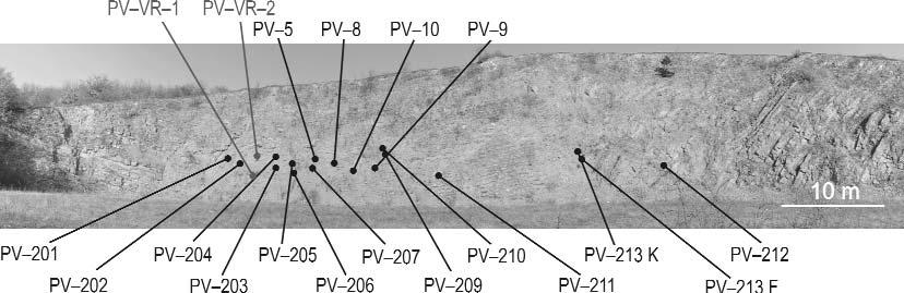 Földtani Közlöny 142/3 (2012) 231 Földtani háttér A jura időszakban a Mecsek hegység a Tiszai-egység részeként a Tethys északi selfjén, az európai lemez D-i peremén helyezkedett el.