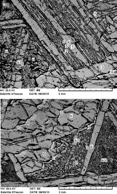 296 KUBOVICS Imre et al.: Heterogén szerkezetű és összetételű, IVA szerkezeti jellegű kaposfüredi (kaposvári) vasmeteorit nagyobb kamacitkristályok belső részeit vékony ténitlemezek tagolják (12.