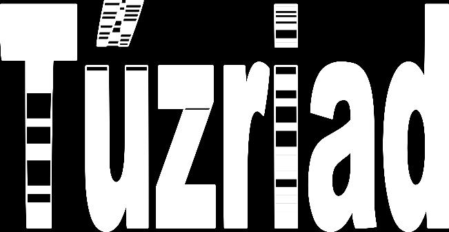 Fesztivál