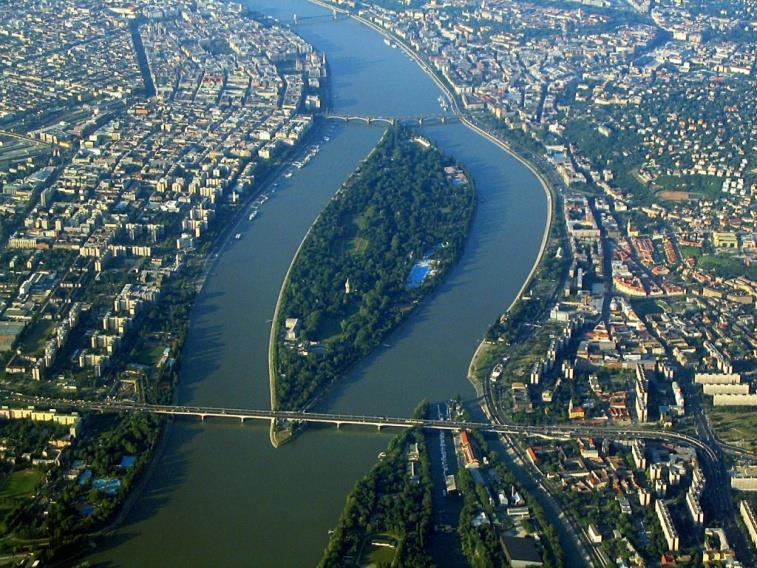 pontszerű növényzet (magános fa, egy virágláda) vonalas tájelem