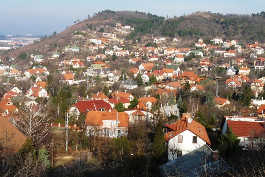 2) Megmaradt erdők A képen látható erdők elsősorban a domborzati viszonyoknak köszönhetik túlélésüket.