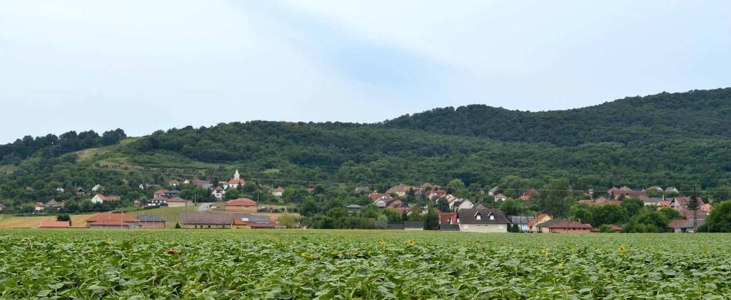 SAJÓIVÁNKA